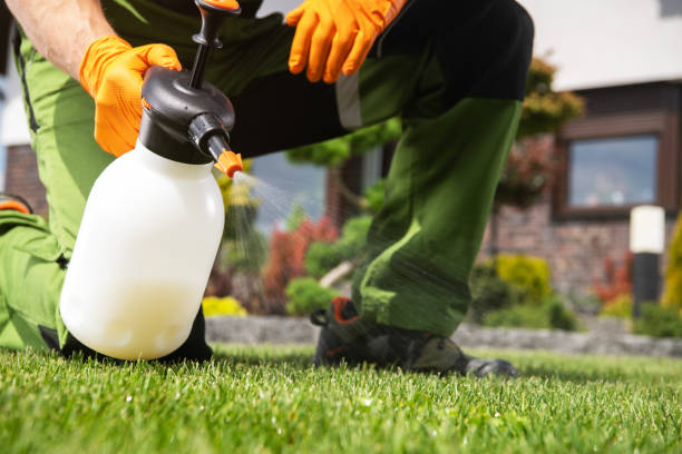 Best Affordable Pest Control Services  in Lincoln, NE