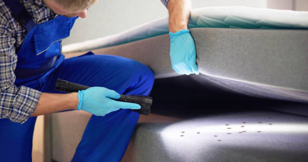 Pest Prevention Services in Lincoln, NE