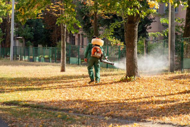 Reliable Lincoln, NE Pest Control Solutions