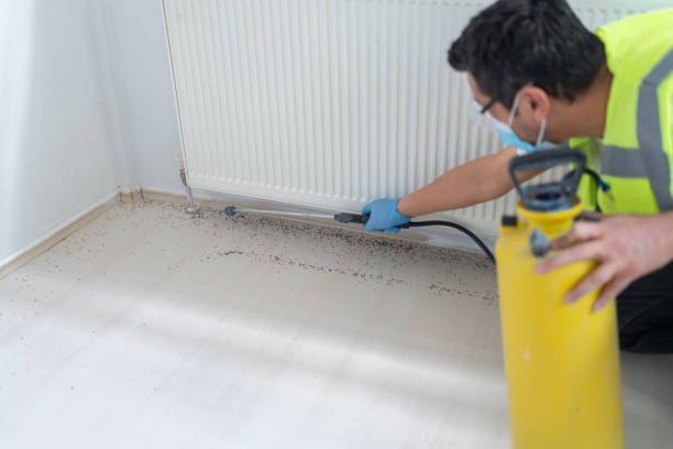 Best Local Pest Control Services  in Lincoln, NE