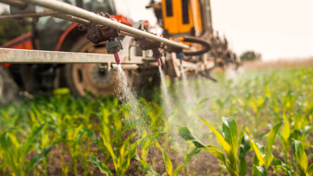 Best Ant Control Services  in Lincoln, NE